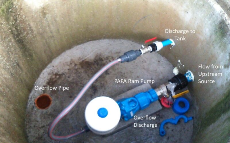 papa-pumps-davidstow.jpg